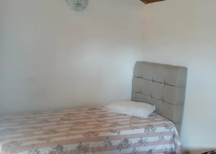 Chale Da Jaja 2